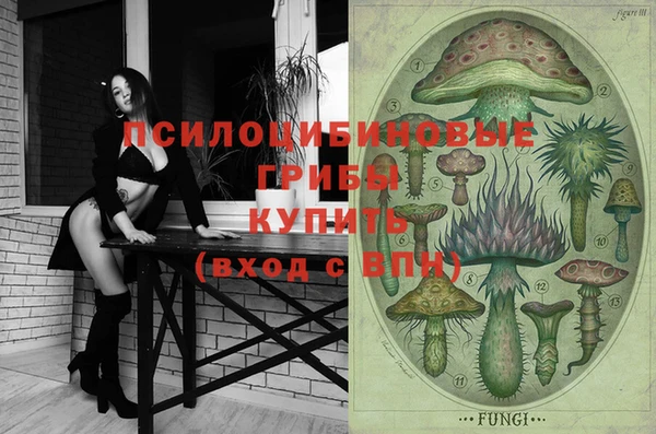 прущий лед Белокуриха