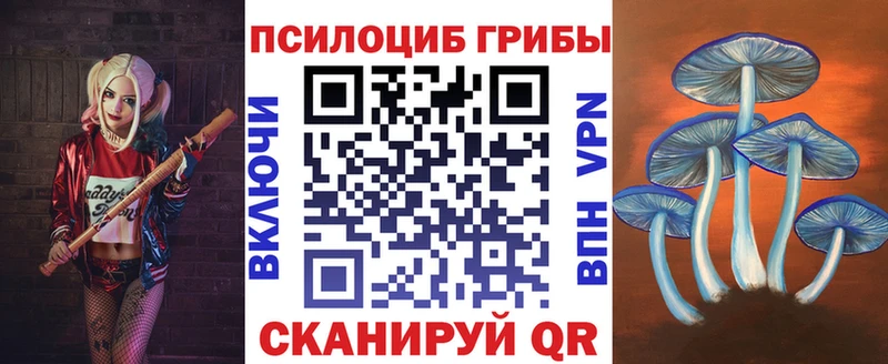 Купить закладки  Волчанск  Галлюциногенные грибы Psilocybine cubensis 